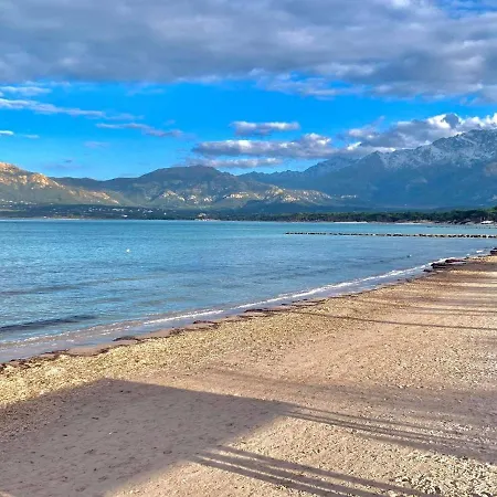 Cosy Avec Clim, Wifi, Parking, A 250m Et 2km Citadelle, - Fr-1-63-307 Calvi (Corsica)